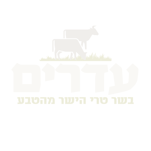 ממלא מקום